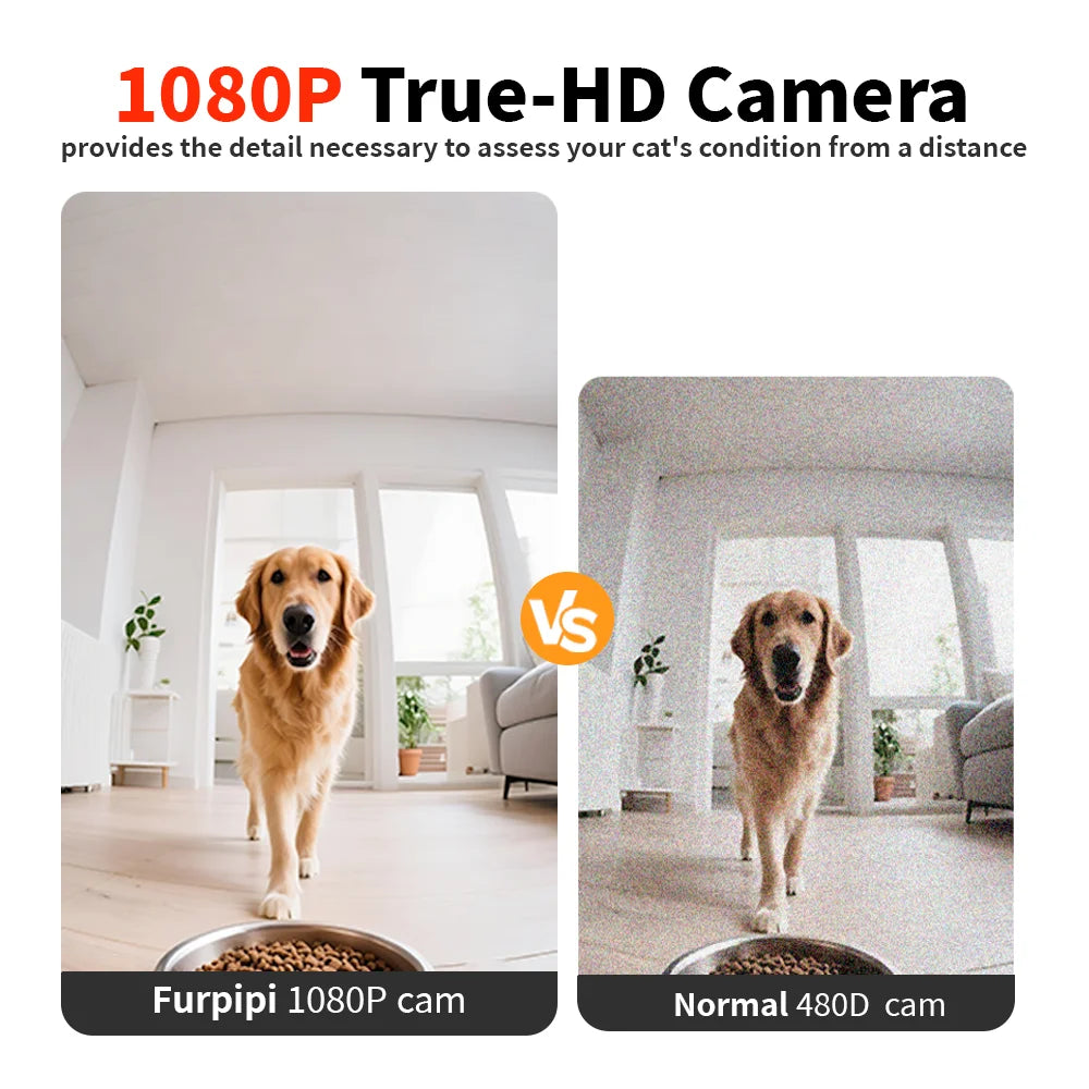 AutoFeeder Vision 8L