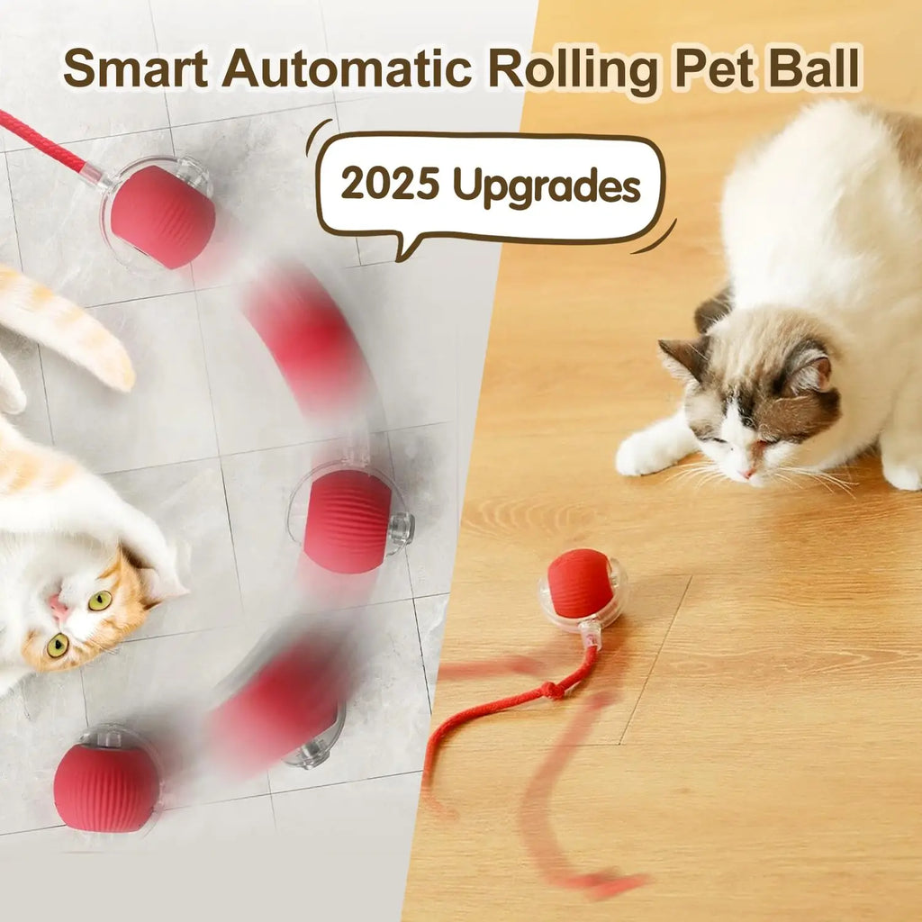 PawRoll Smart Ball